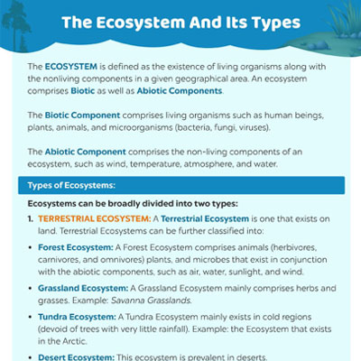 The Ecosystem And Its Types