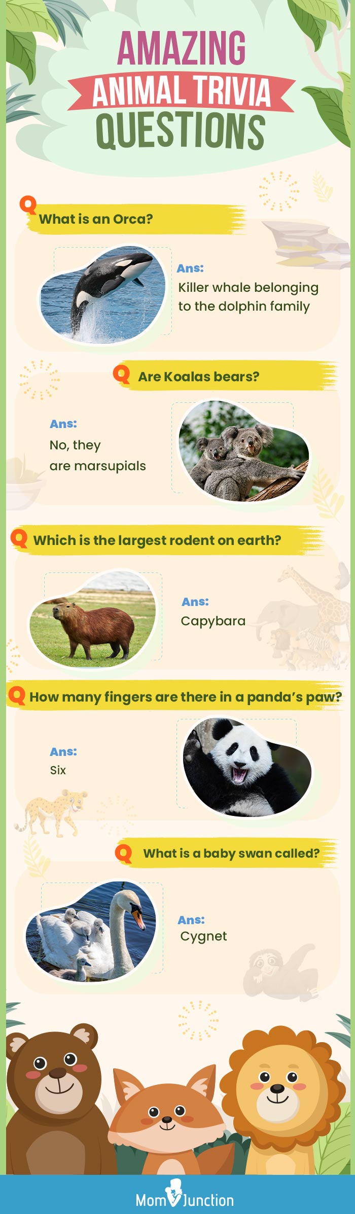 safari animals questions