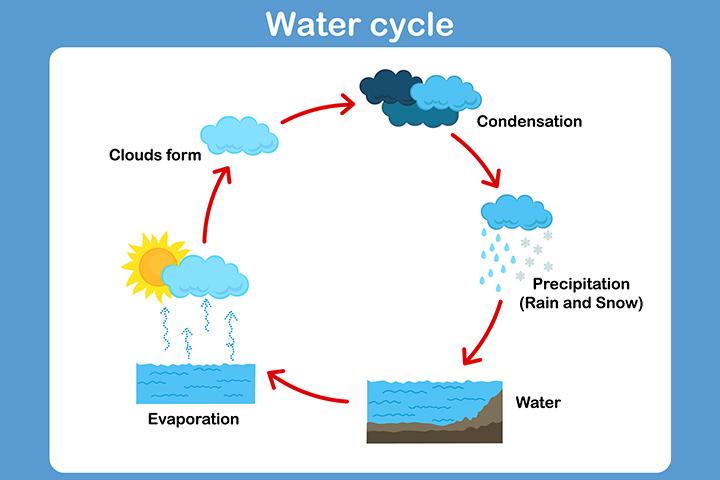 Simple Water Cycle Diagram For Kids Water Cycle Diagram With