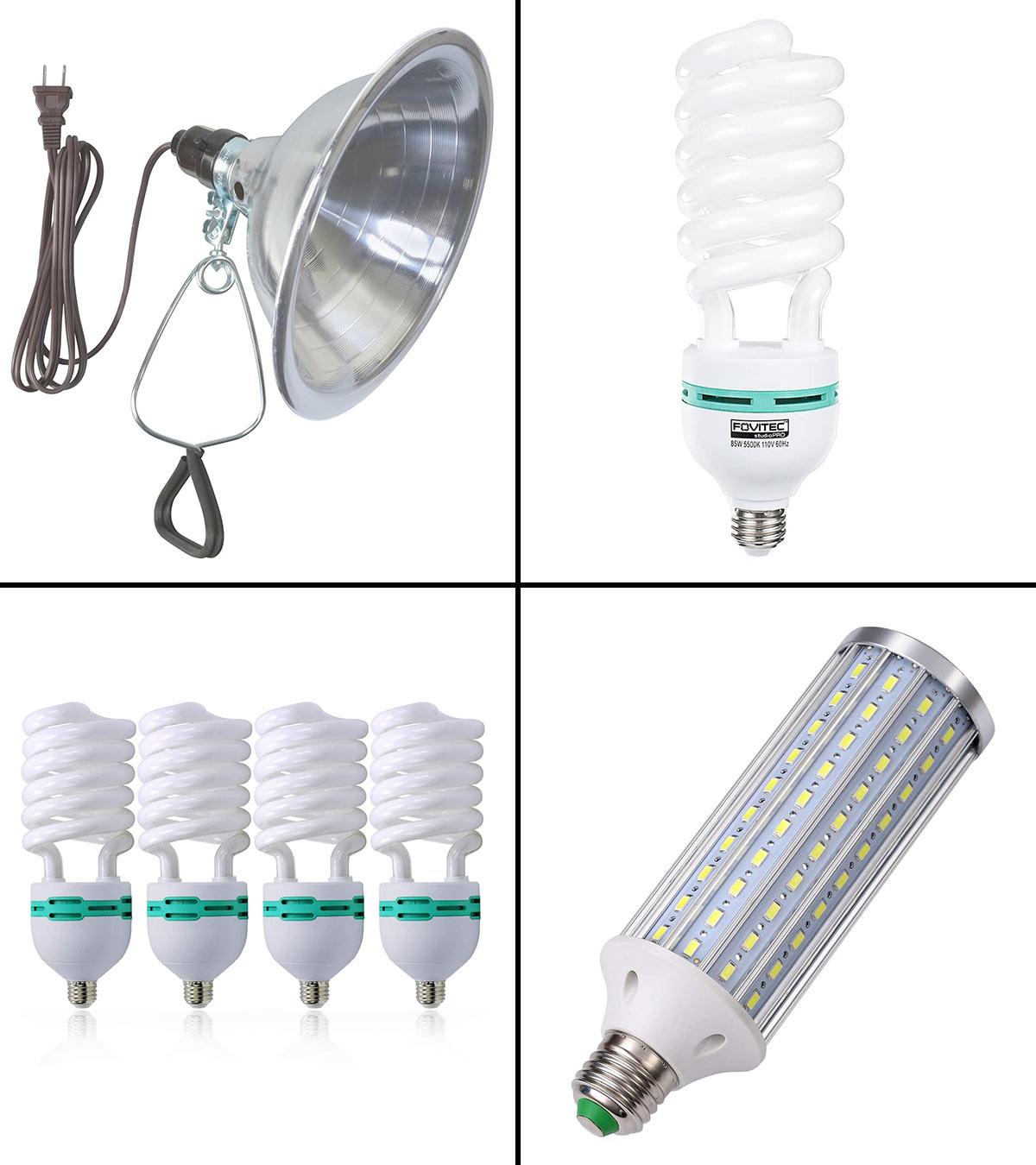 photography light bulb