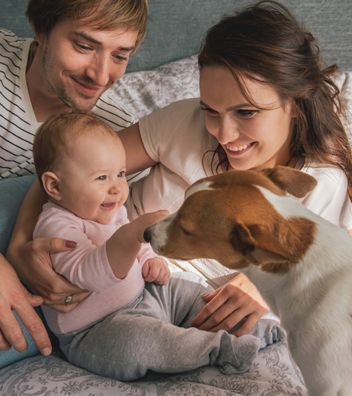 Before You Bring Your Baby Home, Here’s How To Prep Your Pets