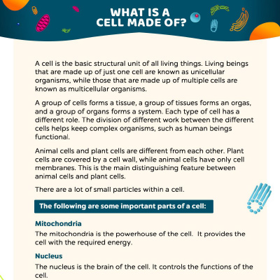 Cell Organelles And Their Functions