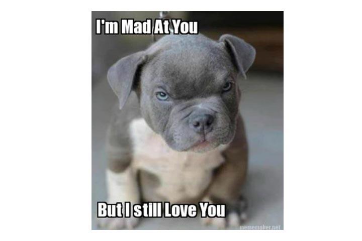 121 Cute Romantic Funny And Love Memes For Her 121 Cute Romantic Funny And Love Memes For Her