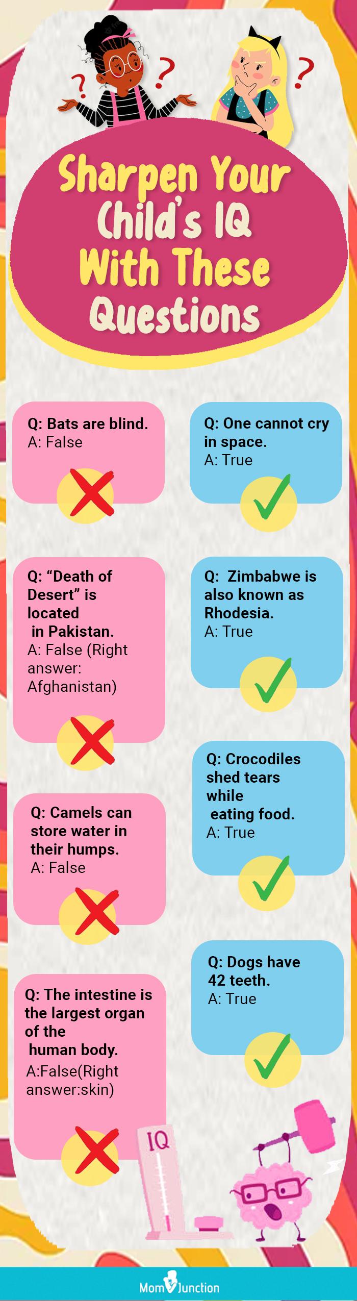 understanding true and false questions