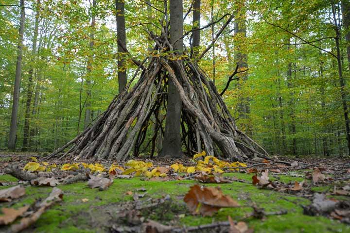 Build an Outdoor Fort - NWF