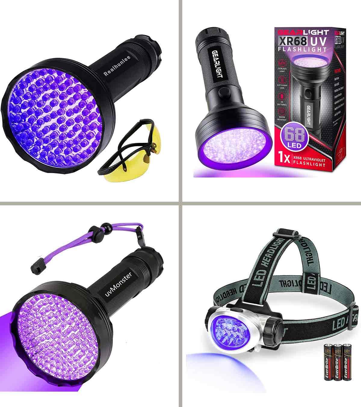 Can A Black Light Detect Dog Urine