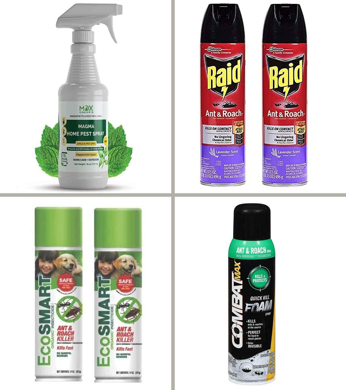 The 5 Best Roach Killers in 2023