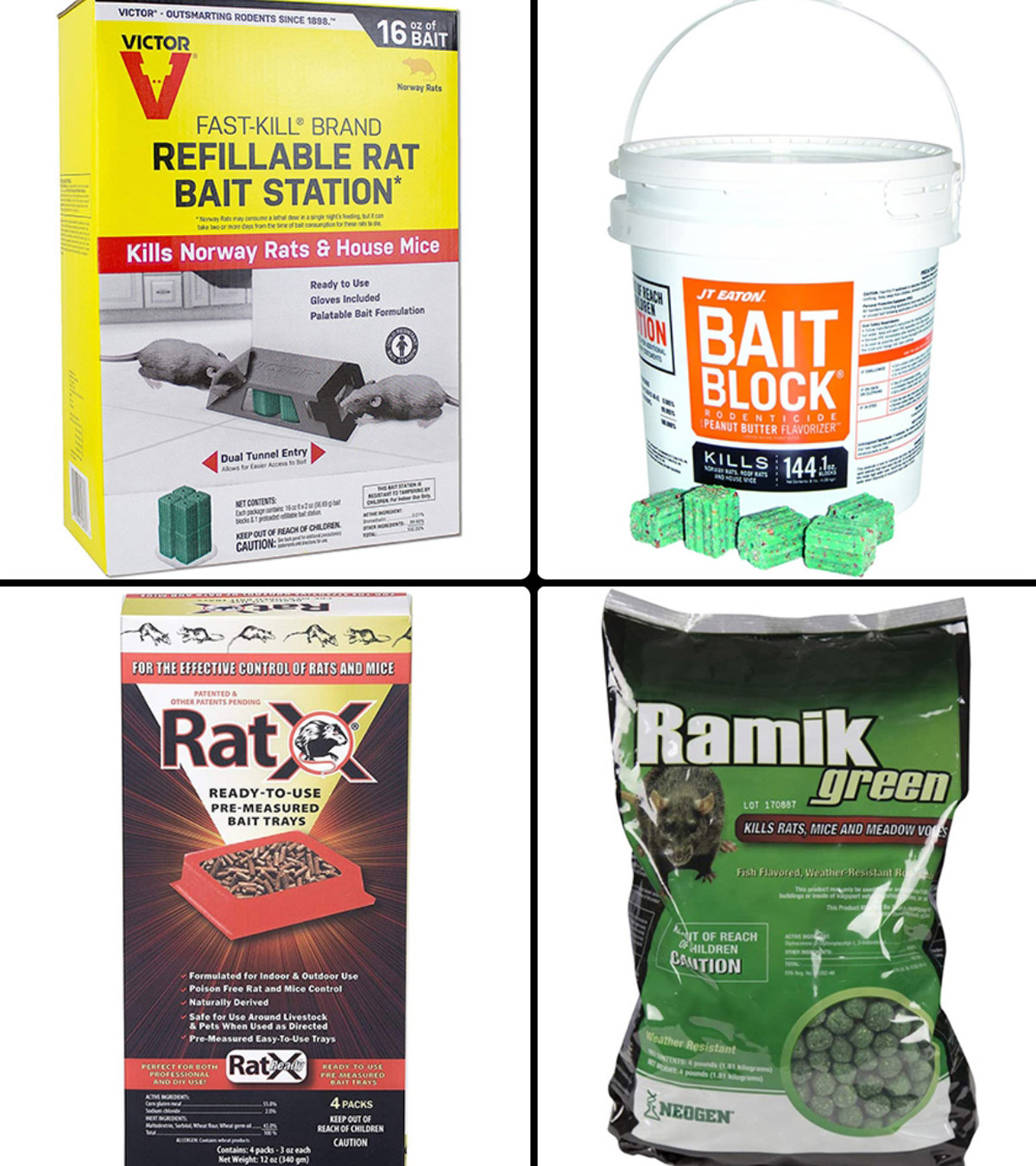 A Guide To Rat Poisoning In Dogs, Rodent Exterminators