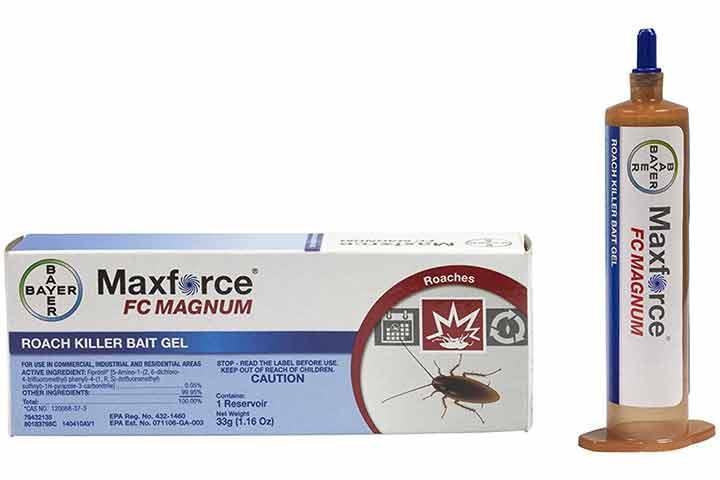 The 5 Best Roach Killers in 2023