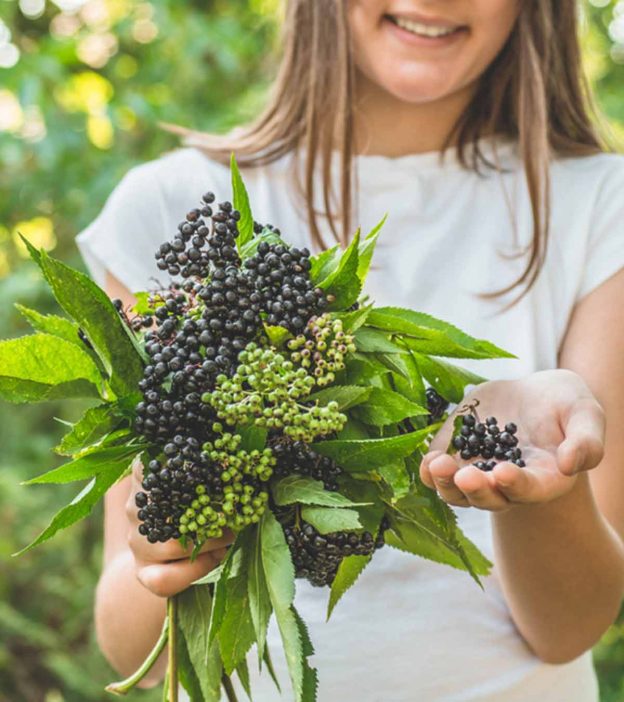 Elderberry For Kids: Is It Safe, Benefits, Side Effects And Precautions