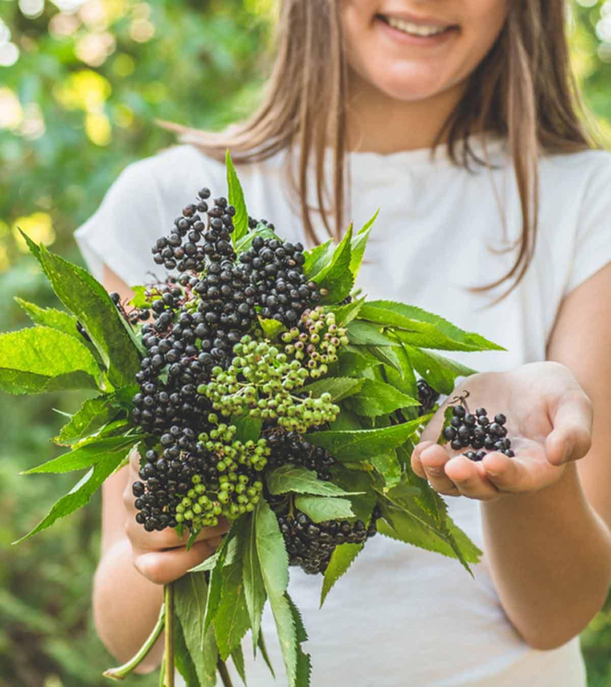 Benefits Of Elderberry For Kids