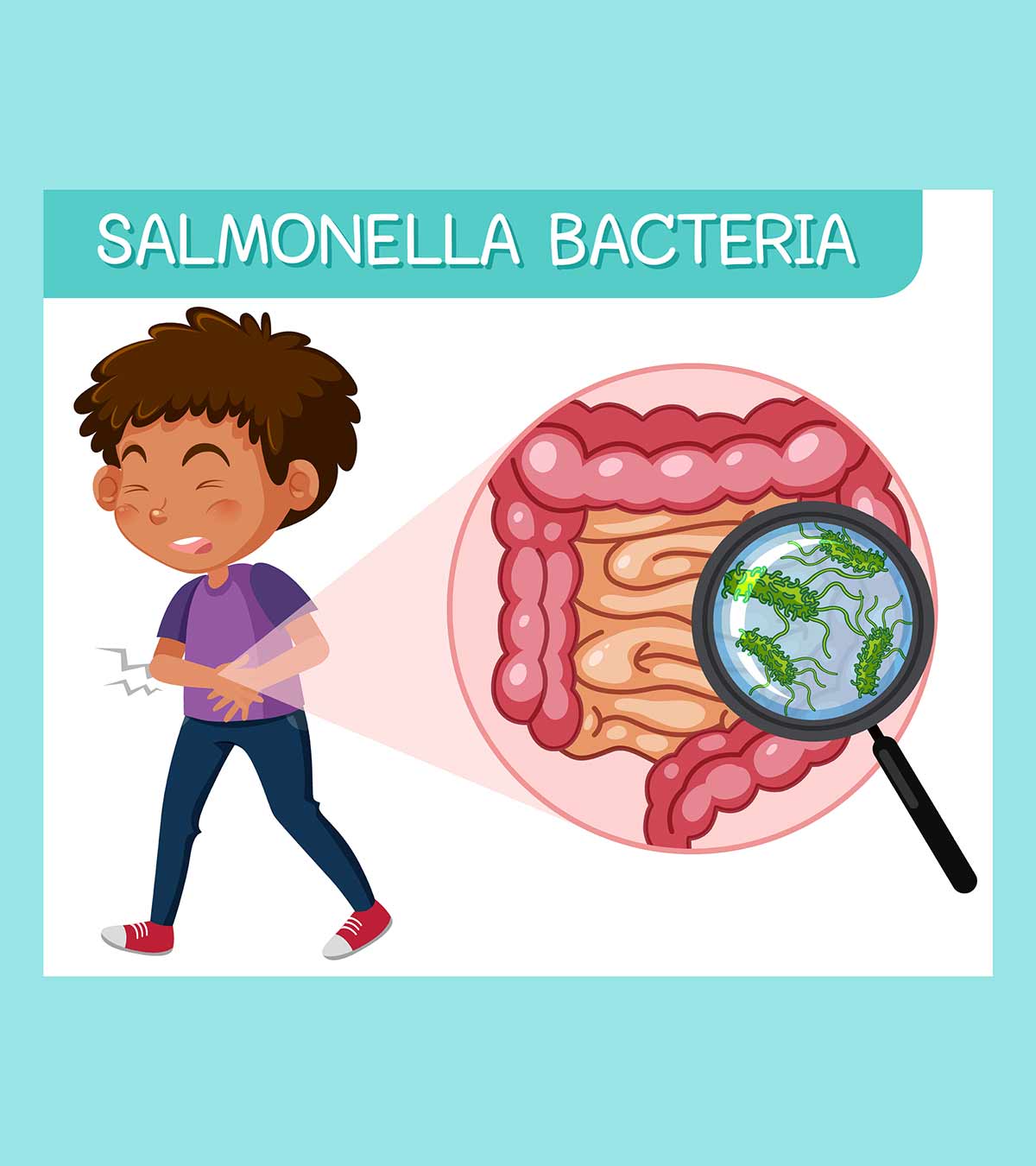 Salmonella Infection In Kids: Signs, Causes, And Treatment
