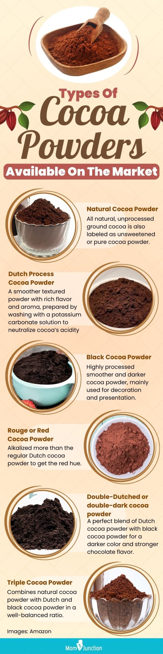 https://www.momjunction.com/wp-content/uploads/2021/04/Types-Of-Cocoa-Powders-Available-On-The-Market-scaled.jpg