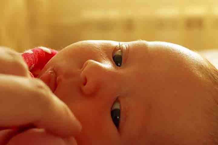 Rooting Sleep Rooting Reflex