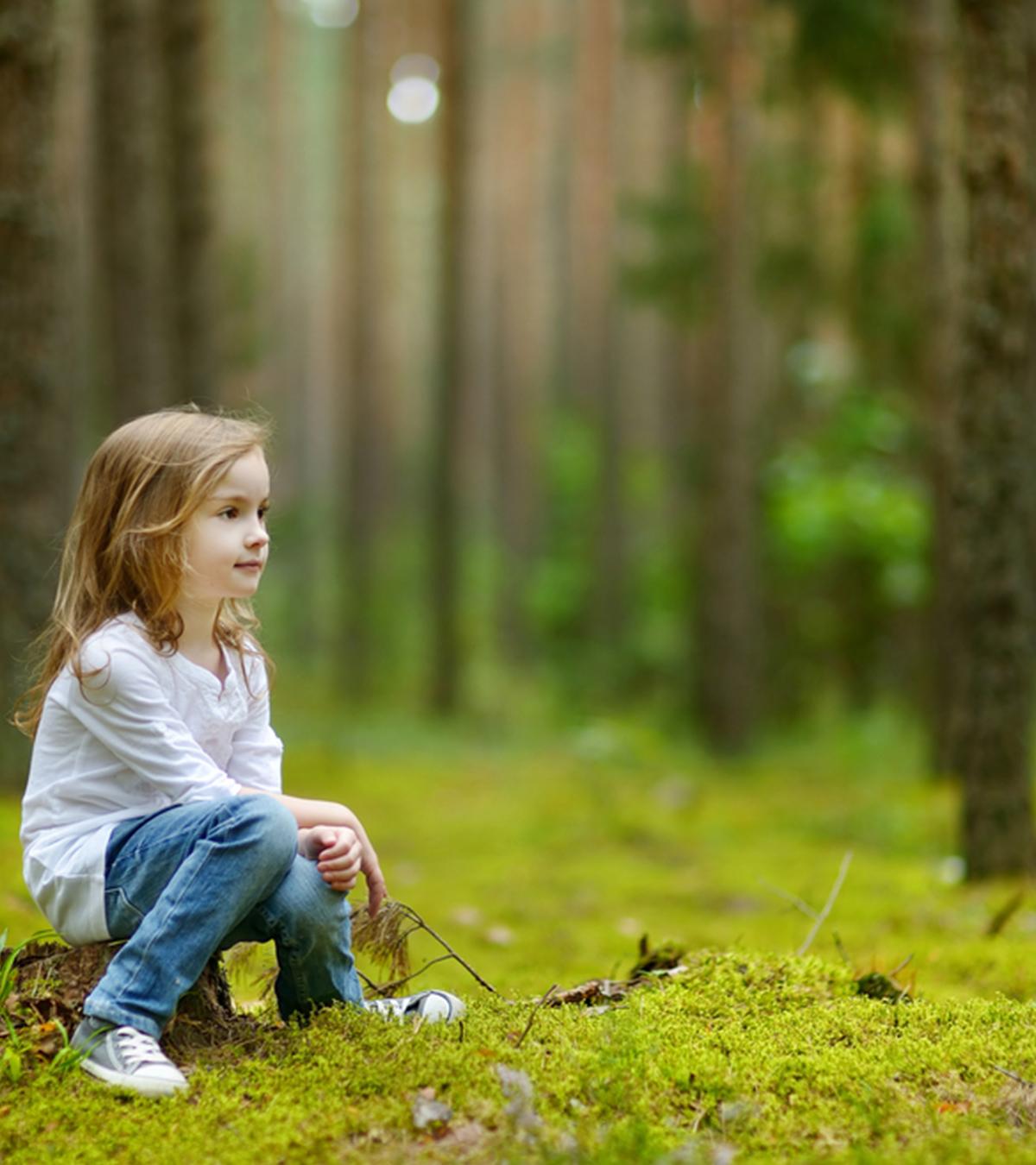 25 Informative And Fun Facts About Forests For Kids