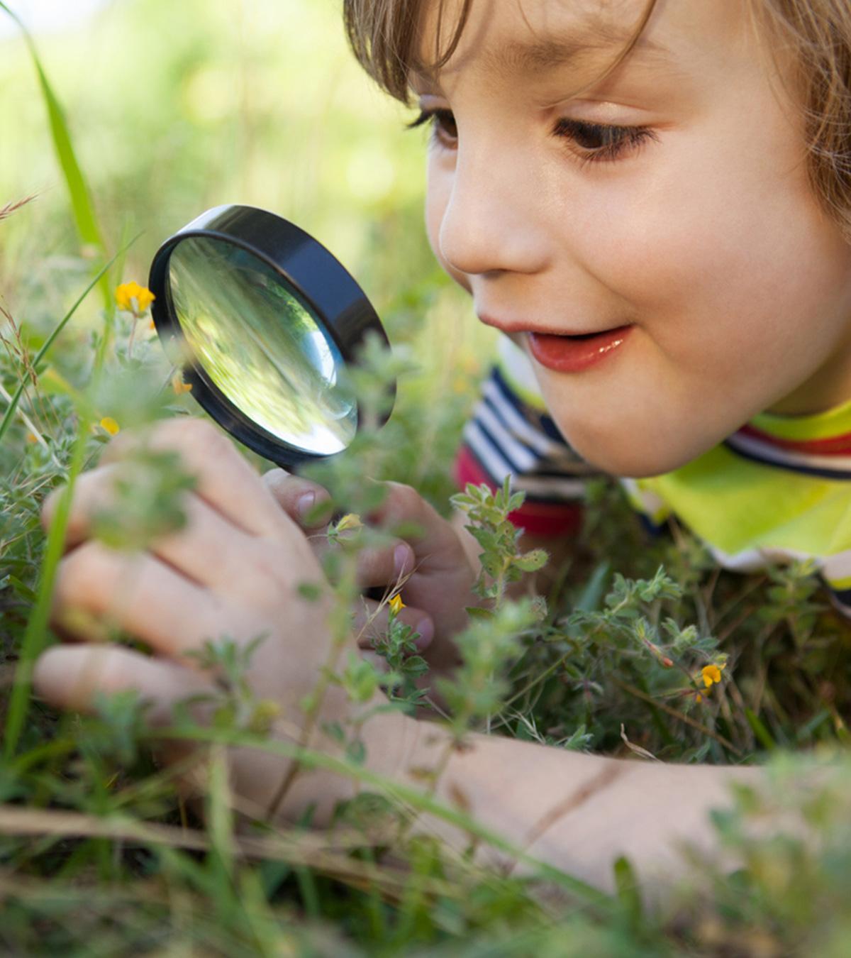 20 Helpful Tips To Encourage Curiosity In Children