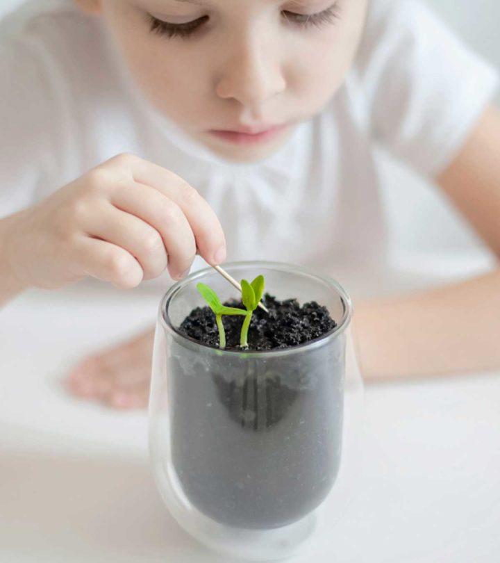 A Kids Looking At Plant Parts