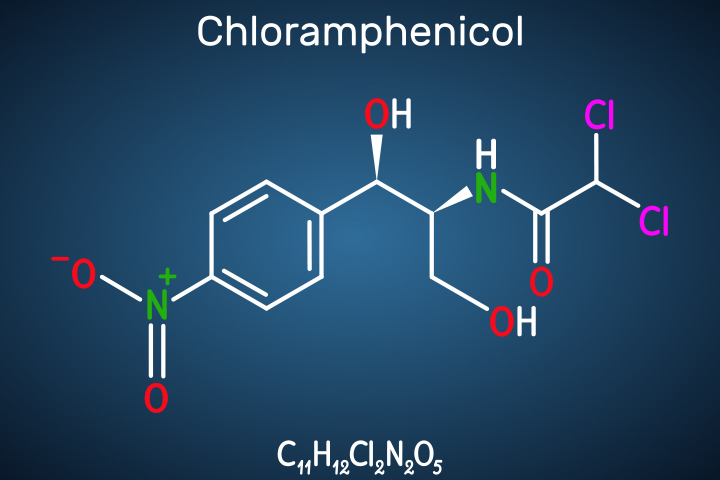 Chloramphenicol during pregnancy may lead to the gray baby syndrome