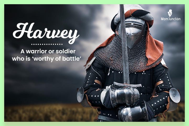 Harvey, a soldier
