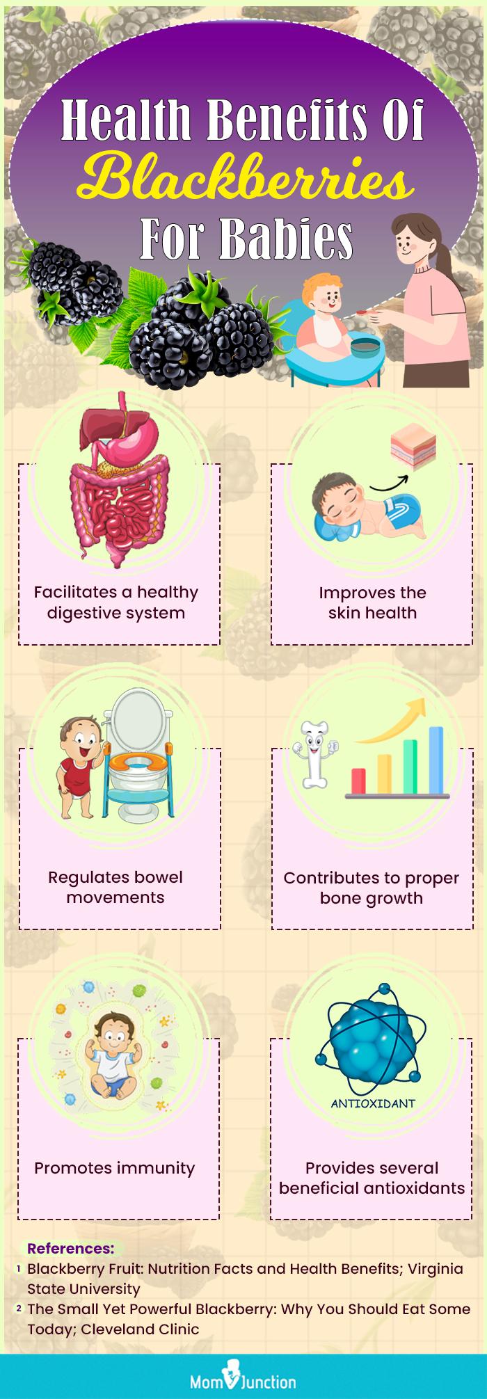 Blackberries For Babies Are They Safe?