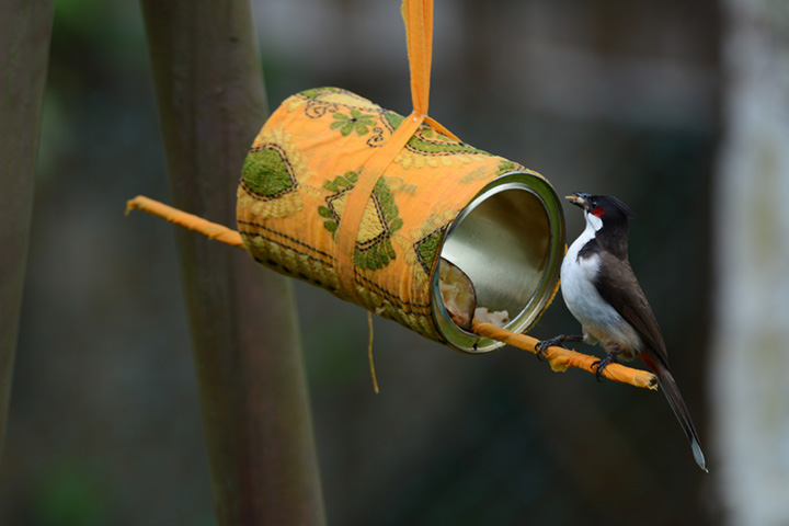 26 Simple DIY Bird Feeders For Kids
