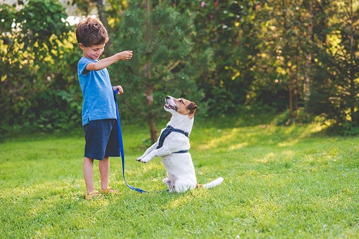 Perform pet tricks, talent show ideas for kids