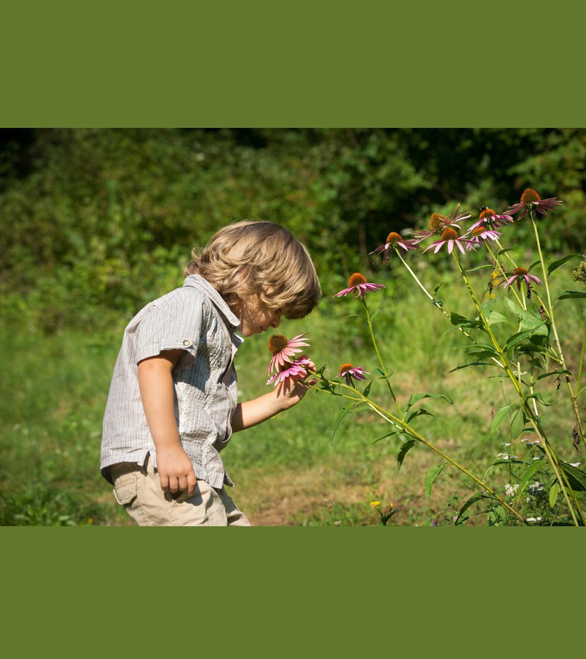 A small baby is smelling the flowers
