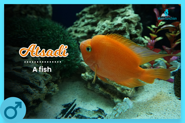 Atsadi, a fish