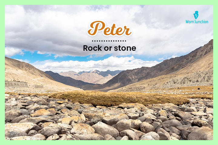 Peter is derived from the Greek word 'Petros'