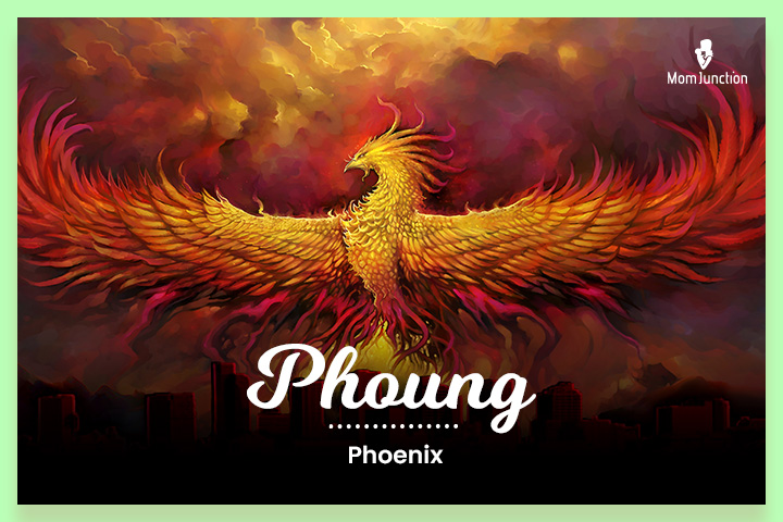 Phound means phoenix