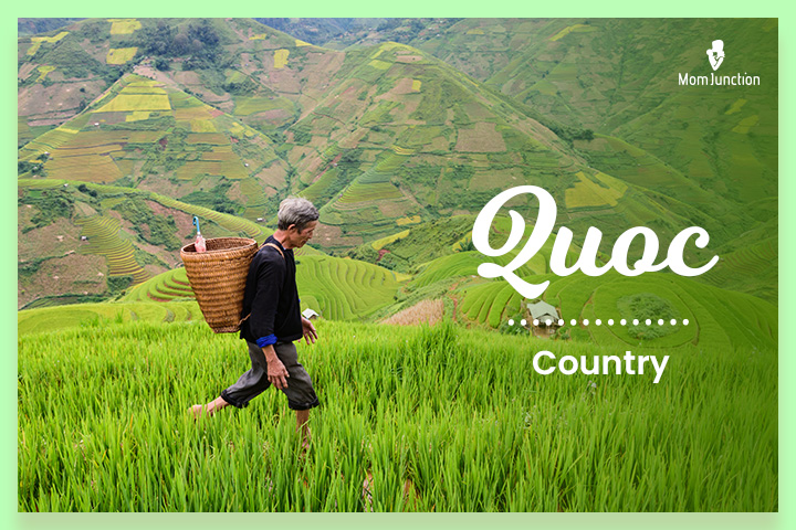 Quoc means country, Vietnamese last name