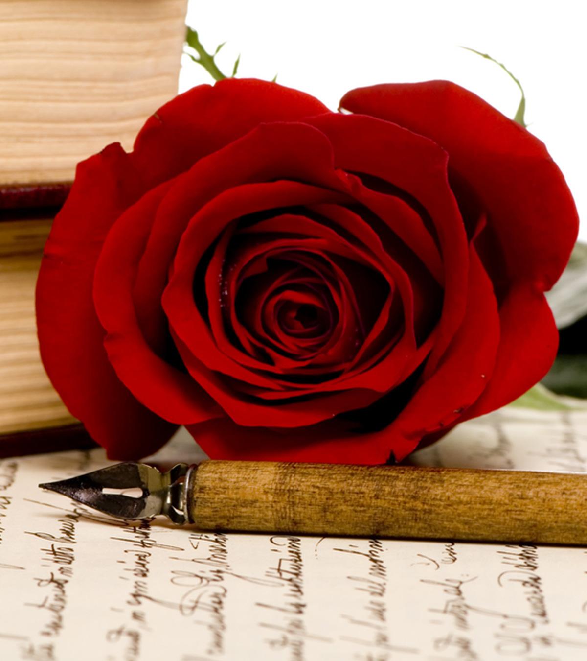 Poems About Falling In Love