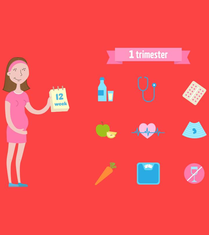 First Trimester Of Pregnancy: Changes, Symptoms & Baby Growth