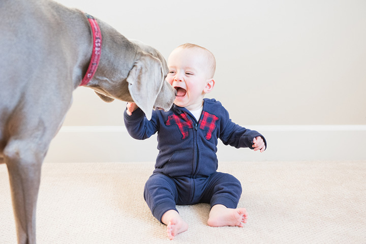 Pet lover photo ideas for toddlers