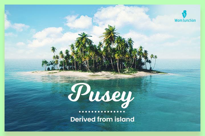 148 Funny Last Names Or Surnames From Across The World 148 Funny Last Names Or Surnames From Across The World