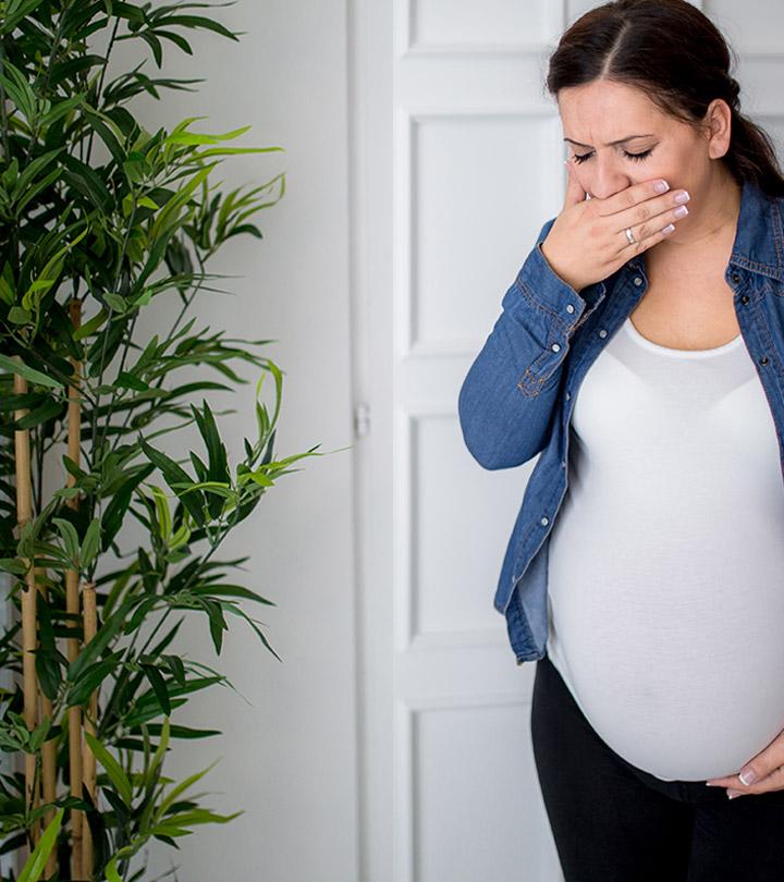 Causes Of Smelly Urine In Pregnancy