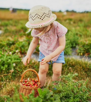22 Farm Activities For Preschoolers And Toddlers
