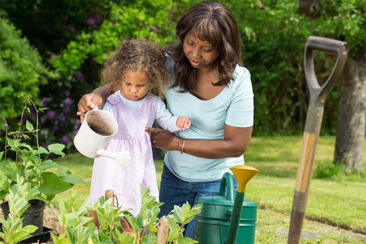 Let your child plant and water tiny saplings
