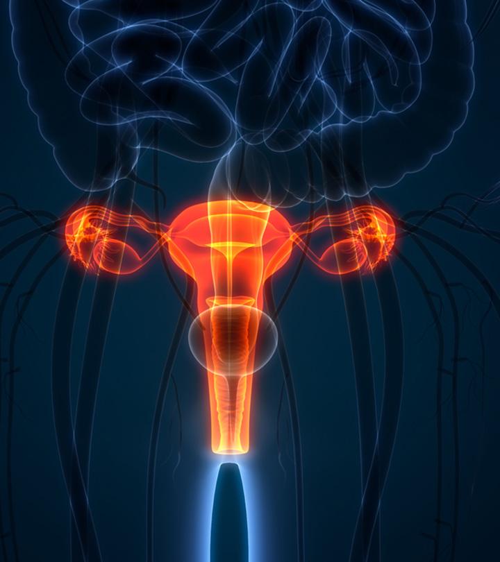 What are the  Common Vaginal Changes After childbirth