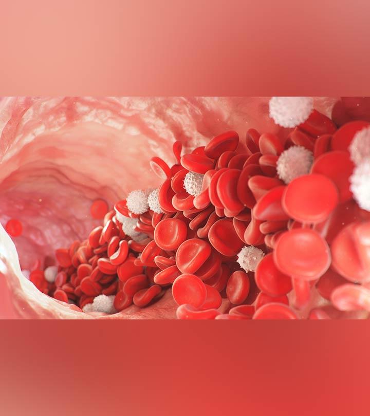 High Wbc Count In Pregnancy