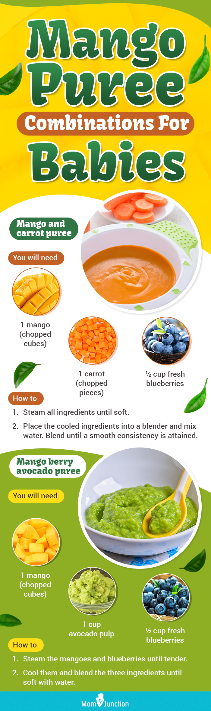 mango puree combinations for babies (infographic)