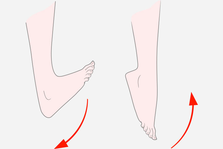 Ankle rotation