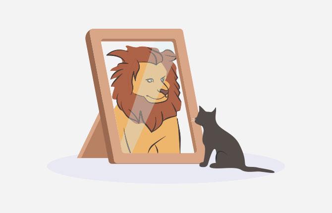 Billi ki kahani deals