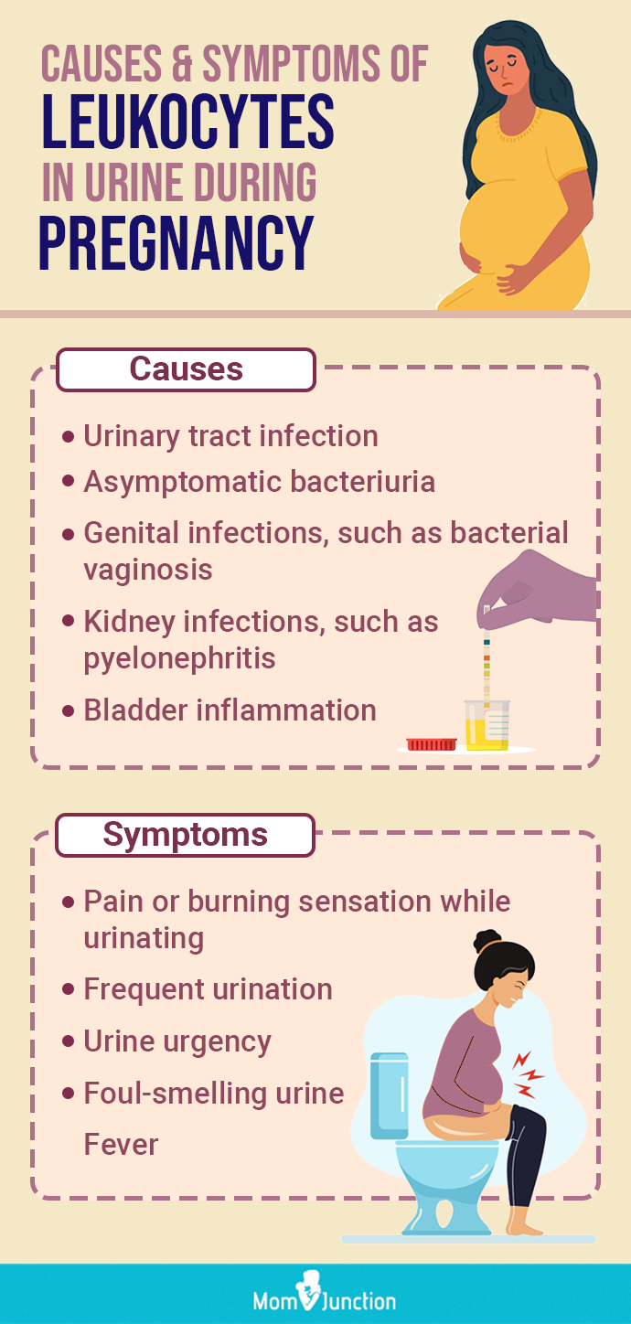 UTI in pregnancy: Causes, risks, and treatments