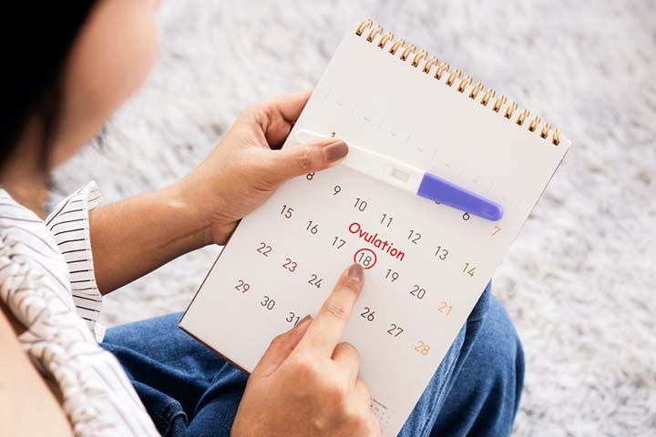 How Long Does Ovulation Last? Duration And Symptoms