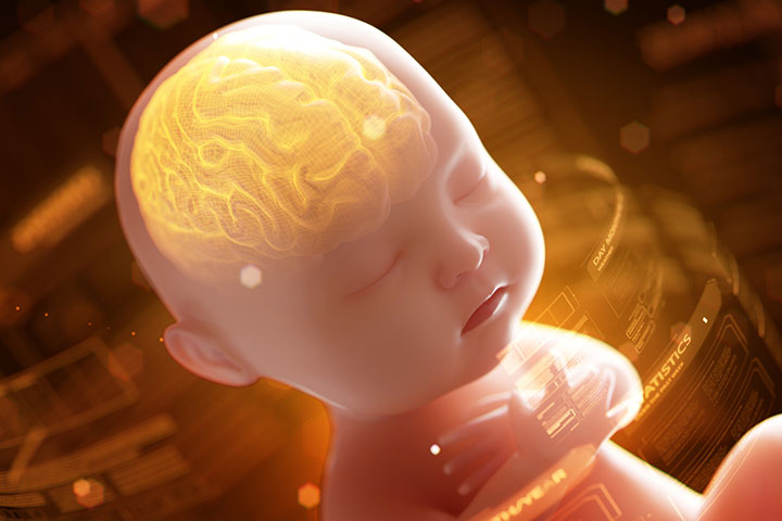 Folic acid in almonds supports fetal brain development