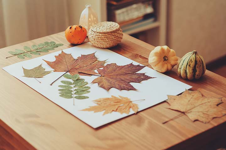 Paste the individual leaves onto different sheets of paper.