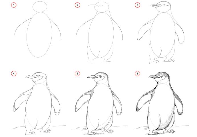 How to Draw a Penguin for Kids, Pencil Sketch for Beginners Step by Step