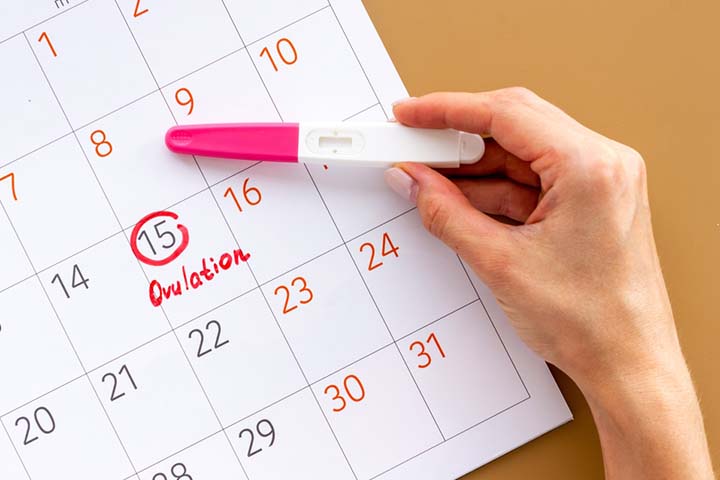 Take an ovulation test to plan your pregnancy