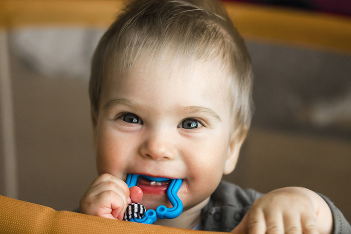  Teething is essential for chewing 